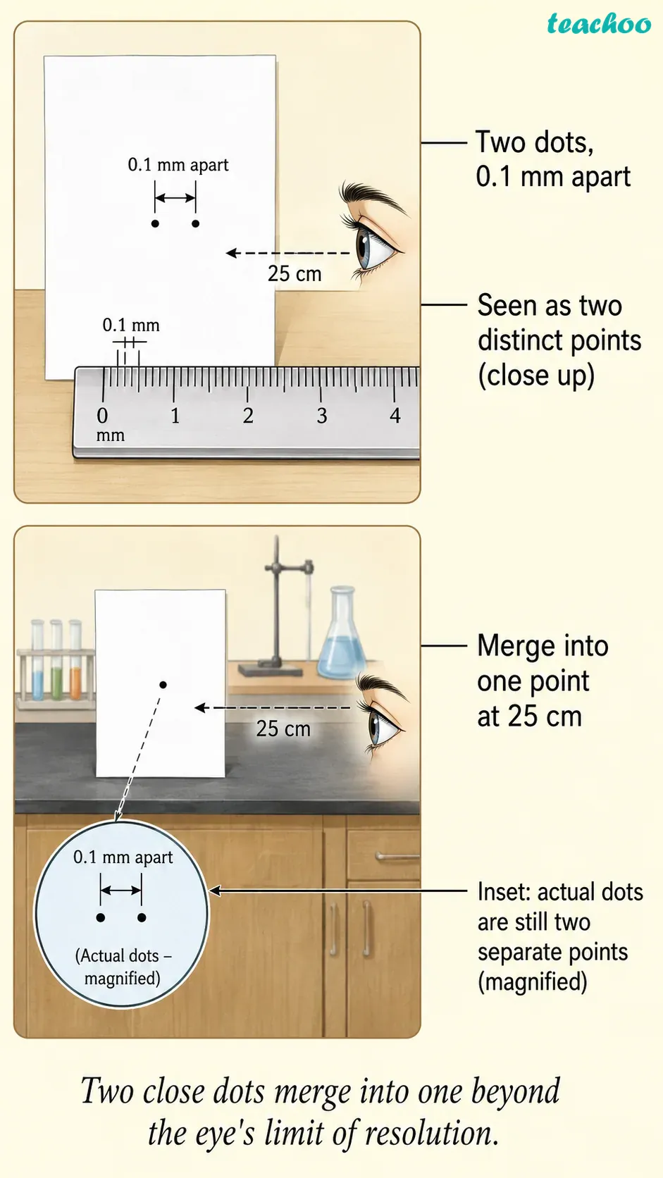 part 2 - 2.1 How to Study Cells? - Concepts - Chapter 2 - Cell: The Building Block of Life (Exploration) - Class 9 (Exploration)