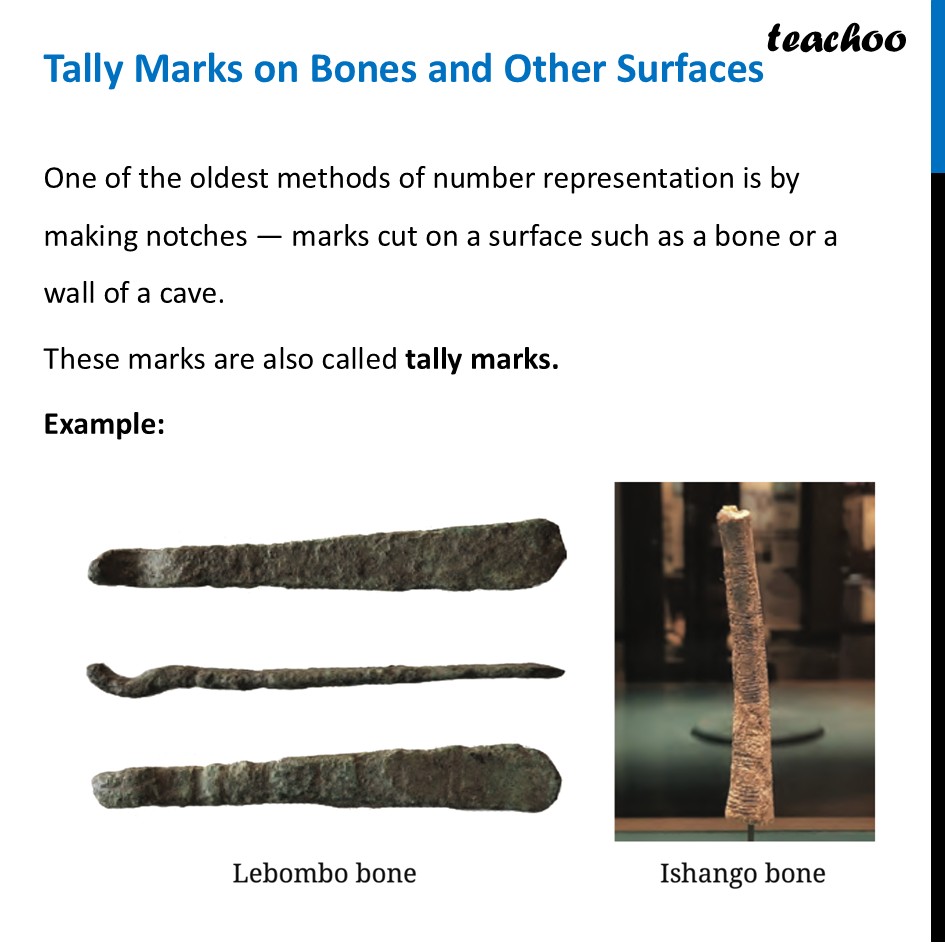 Tally Marks on Bones and other Surfaces [with Examples] - Class 8 - Some Early Number Systems