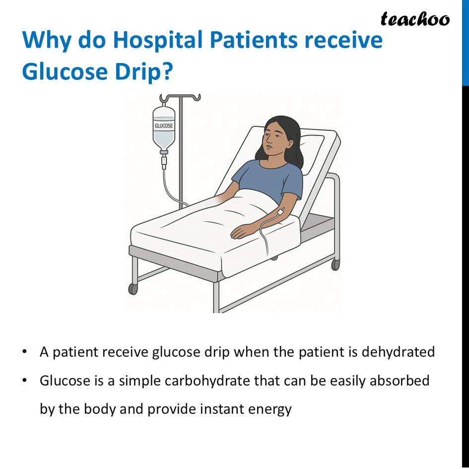 part 7 - Different Components of Food - Concepts - Chapter 3 Class 6 - Mindful Eating: A path to healthy body (Curiosity) - Class 6