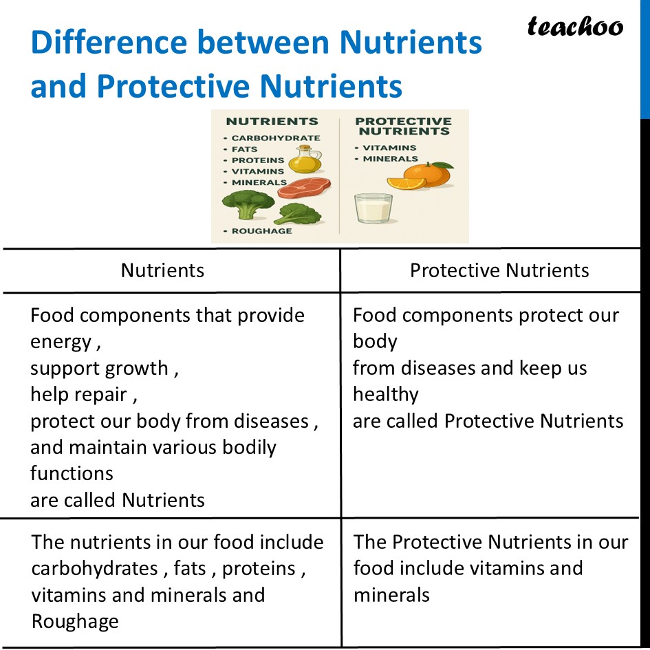 part 39 - Different Components of Food - Concepts - Chapter 3 Class 6 - Mindful Eating: A path to healthy body (Curiosity) - Class 6