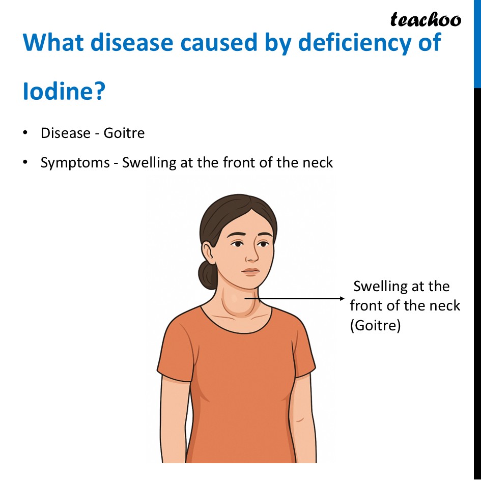 part 31 - Different Components of Food - Concepts - Chapter 3 Class 6 - Mindful Eating: A path to healthy body (Curiosity) - Class 6