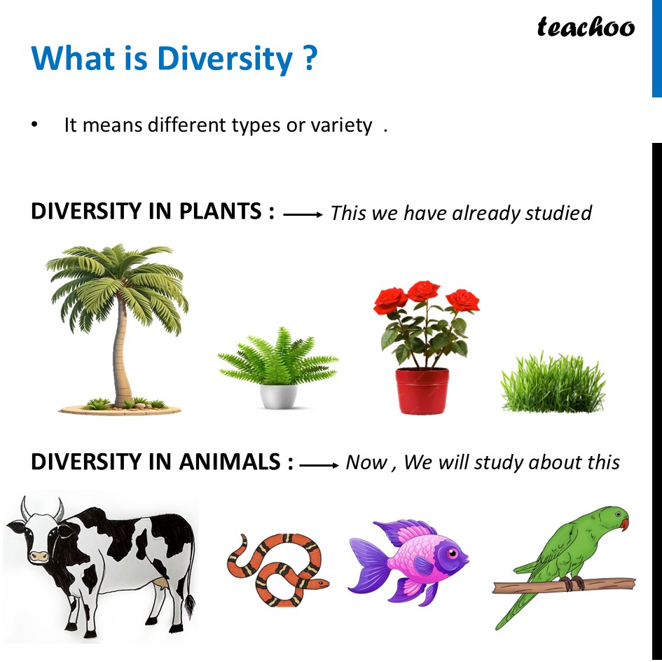 How to Group Animals on Basis of type of Movement - [Class 6 Science] - Concepts