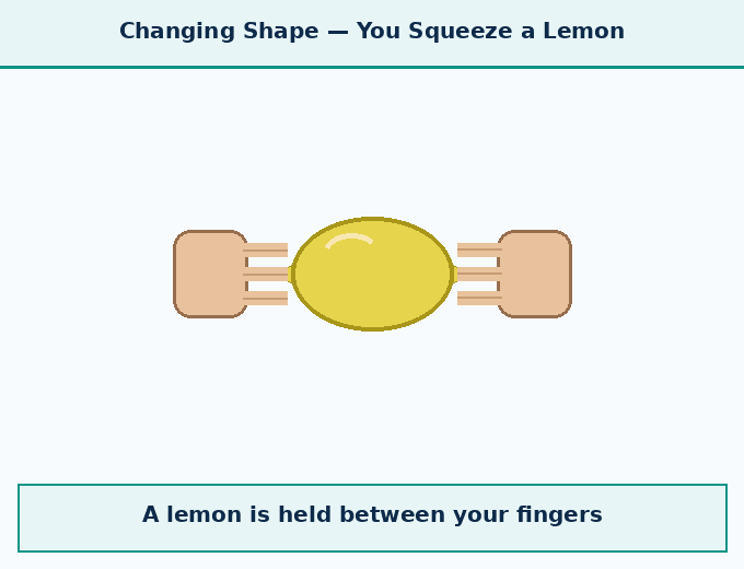 part 3 - Introduction - Concepts - Chapter 6 - How Forces Affect Motion (Exploration) - Class 9 (Exploration)