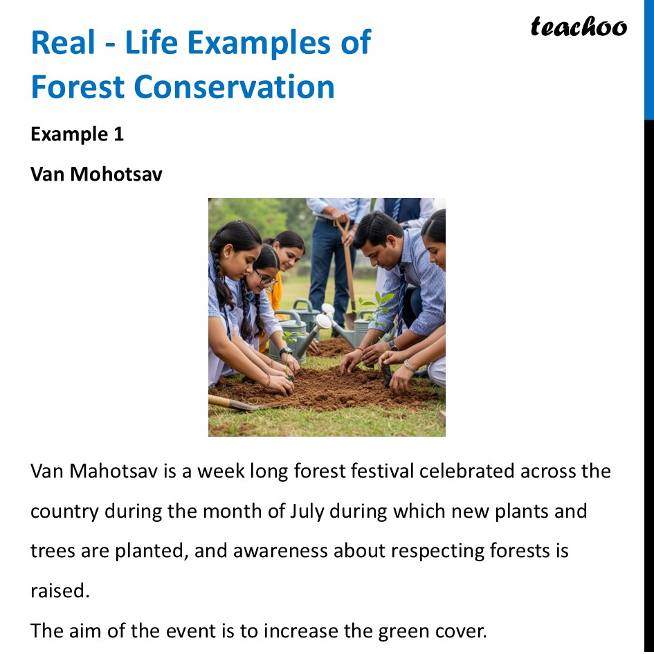 part 10 - Forests - Concepts - Chapter 11 Class 6 - Nature's Treasures (Curiosity) - Class 6