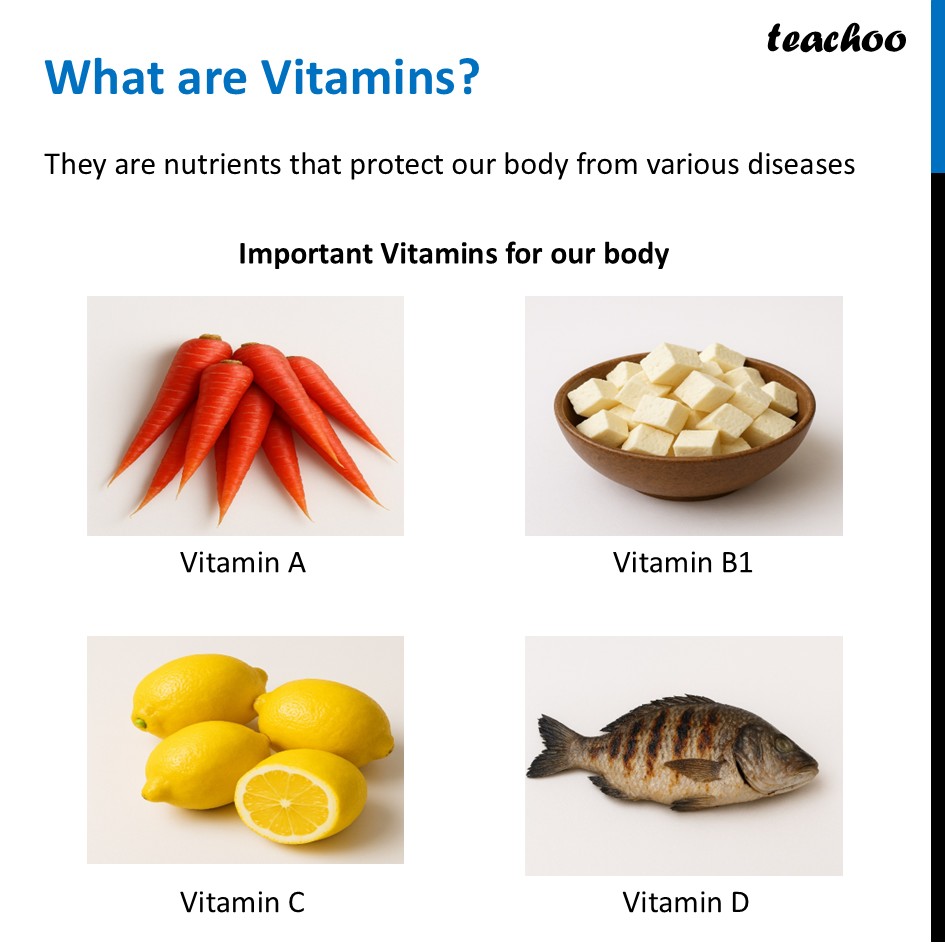 part 18 - Different Components of Food - Concepts - Chapter 3 Class 6 - Mindful Eating: A path to healthy body (Curiosity) - Class 6