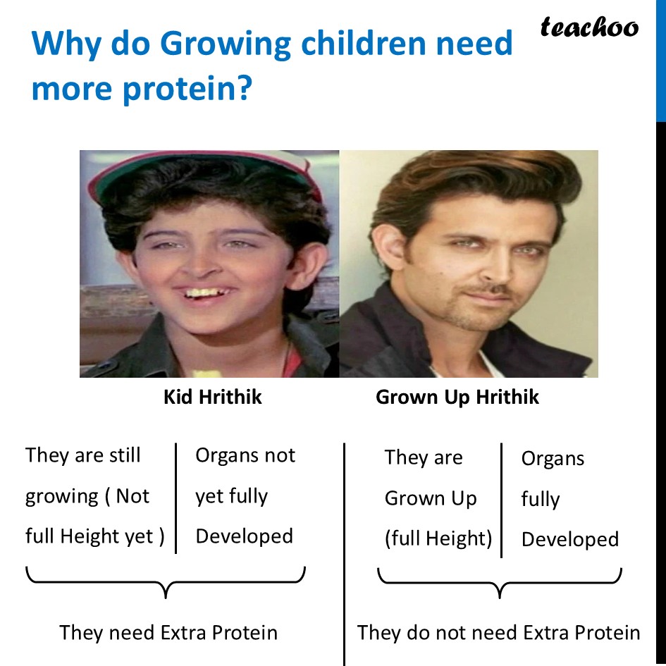 part 15 - Different Components of Food - Concepts - Chapter 3 Class 6 - Mindful Eating: A path to healthy body (Curiosity) - Class 6
