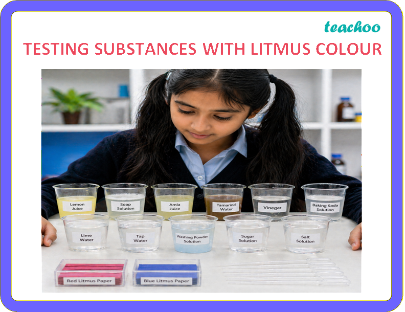 part 6 - 2.1.1 Litmus as an Indicator - Concepts - Chapter 2 Class 7 - Exploring Substances: Acidic, Basic, and Neutral - Class 7