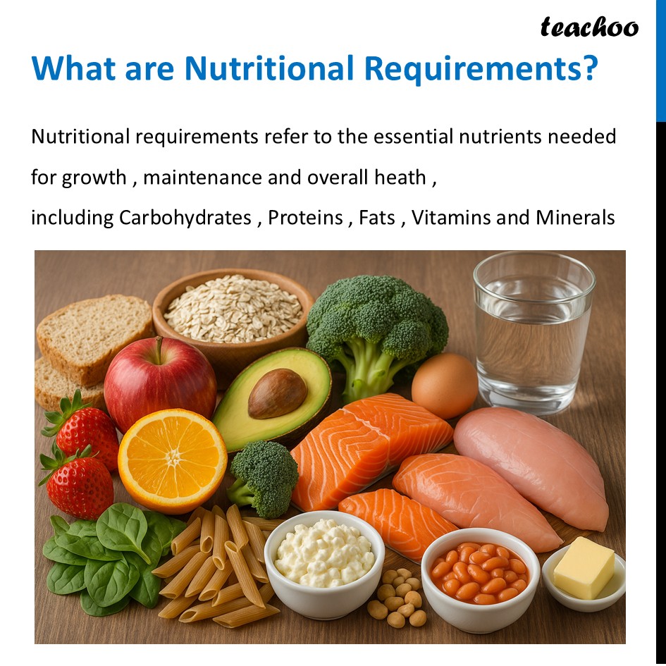part 2 - Nutritional Requirement - Concepts - Chapter 3 Class 6 - Mindful Eating: A path to healthy body (Curiosity) - Class 6