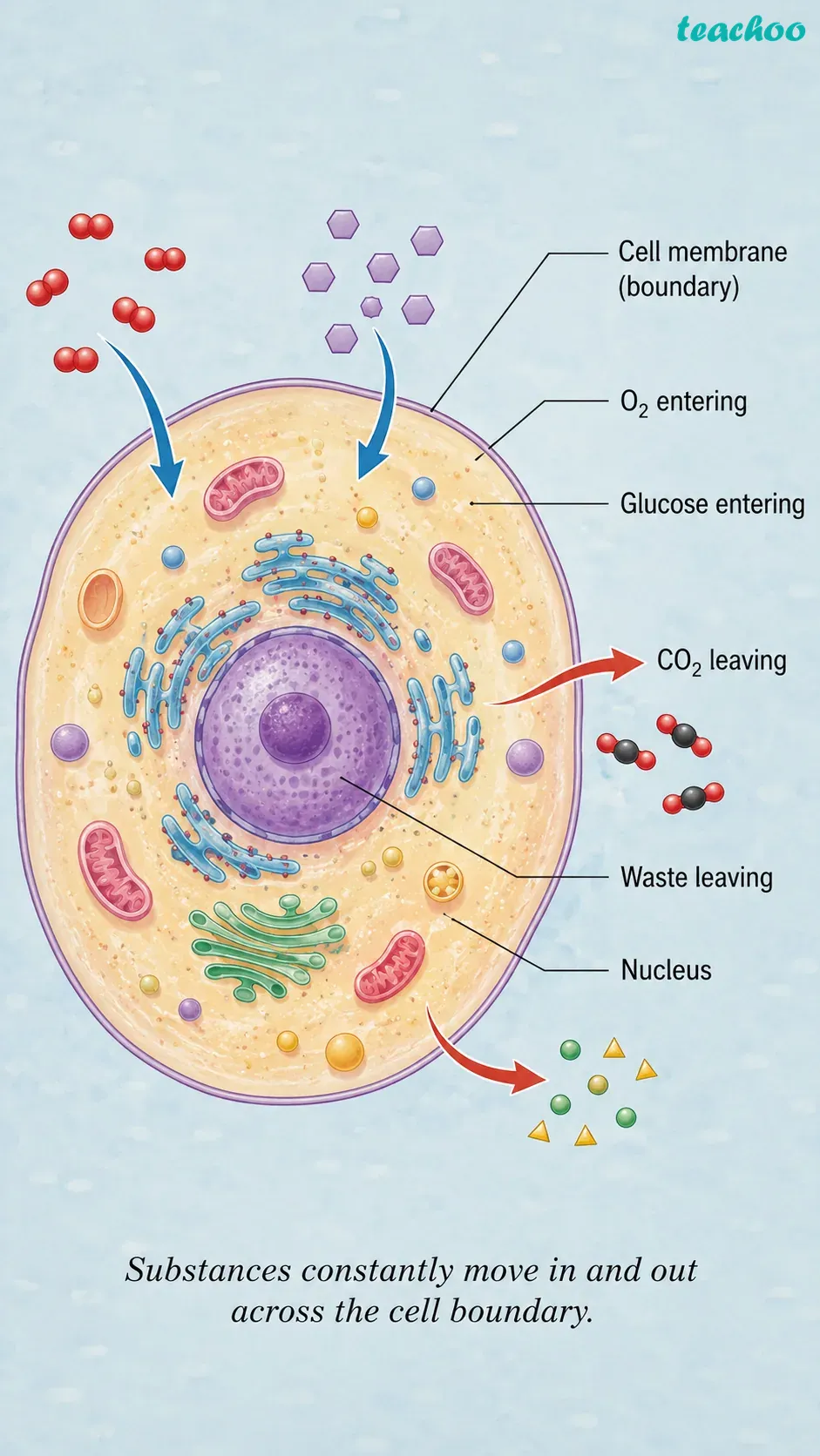 2.2 Structure of a Cell - Cell — The Building Bl - [Teachoo] - Concepts