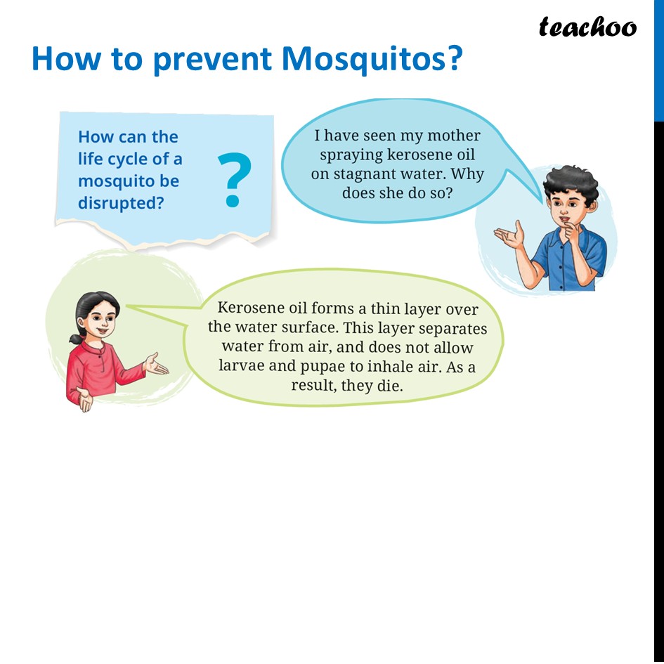 part 4 - Life Cycle of Animals - Concepts - Chapter 10 Class 6 - Living Creatures: Exploring their Characterstics - Class 6