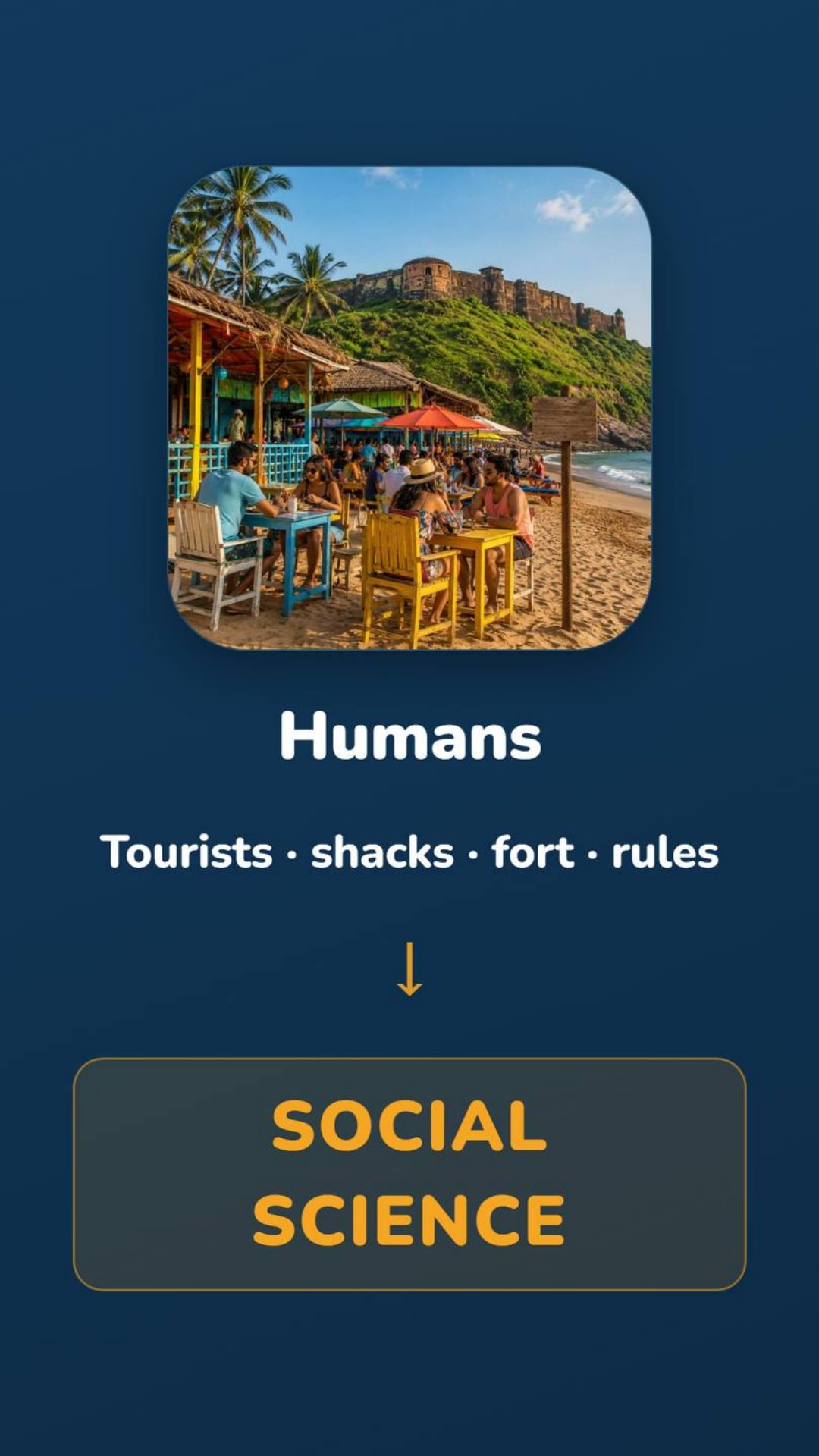 016- Humans → Social Science.jpg