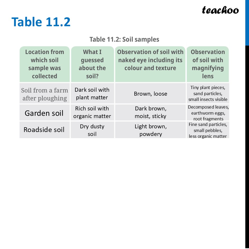 part 17 - Forests - Concepts - Chapter 11 Class 6 - Nature's Treasures (Curiosity) - Class 6