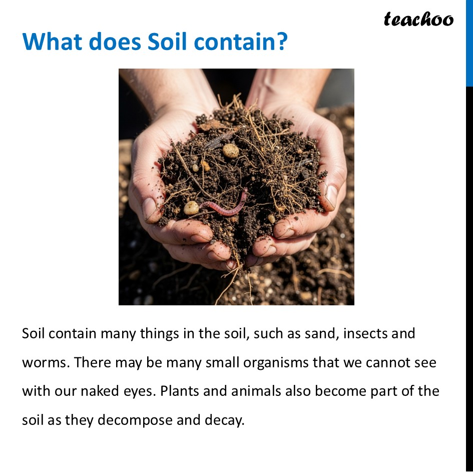 part 2 - Soil, Rocks and Minerals - Concepts - Chapter 11 Class 6 - Nature's Treasures (Curiosity) - Class 6
