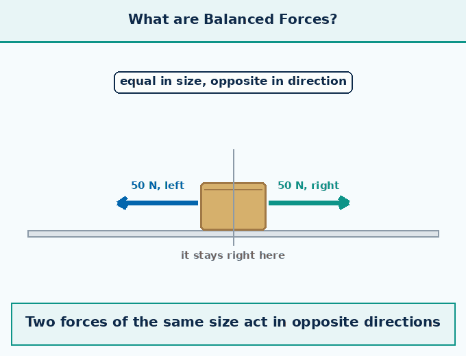 6.2 Balanced and Unbalanced Forc - How Forces Affect Moti - [Teachoo] - Concepts