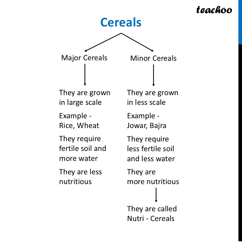 part 4 - Millets - Concepts - Chapter 3 Class 6 - Mindful Eating: A path to healthy body (Curiosity) - Class 6