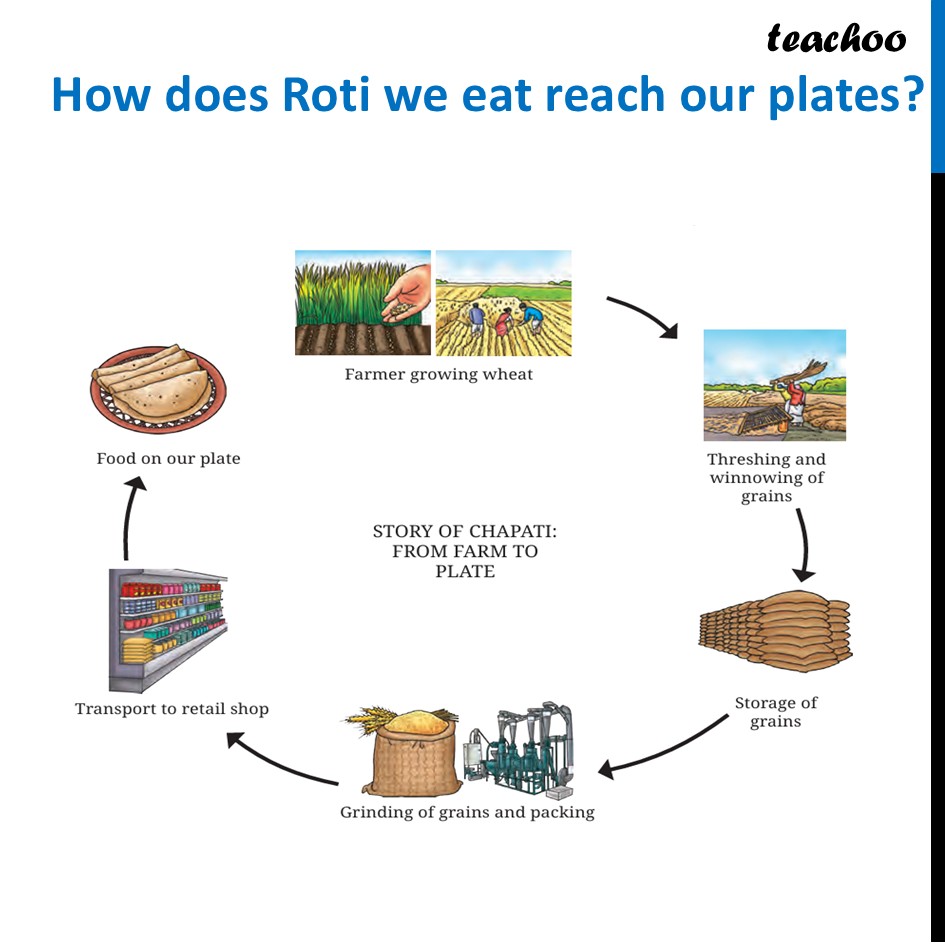 part 2 - Concept of food miles and food wastage - Concepts - Chapter 3 Class 6 - Mindful Eating: A path to healthy body (Curiosity) - Class 6