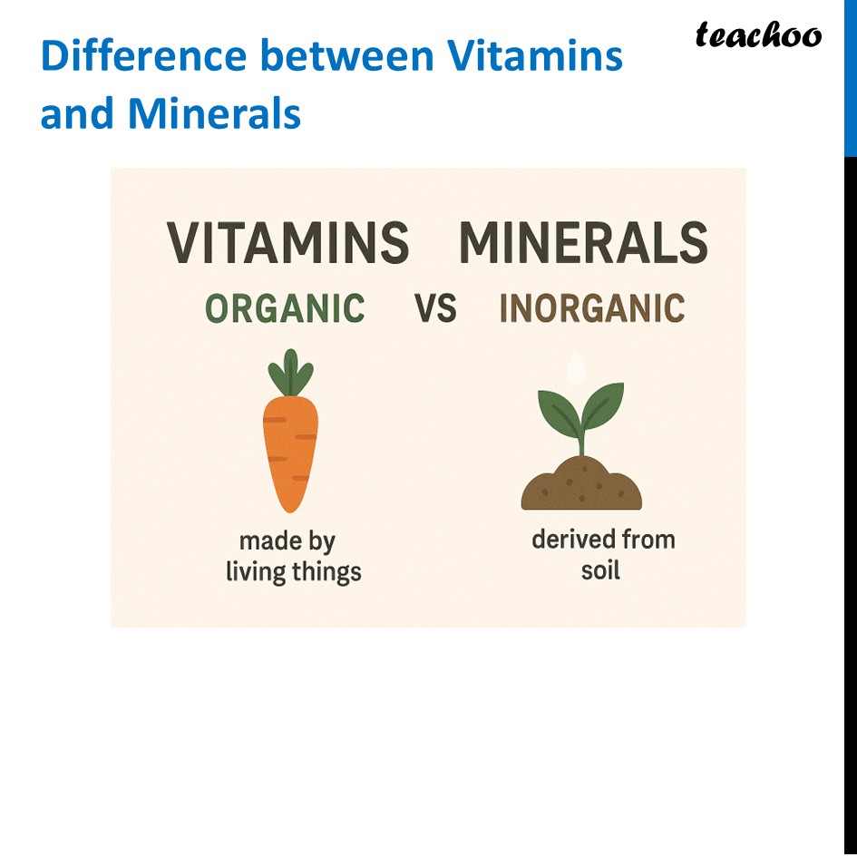 part 34 - Different Components of Food - Concepts - Chapter 3 Class 6 - Mindful Eating: A path to healthy body (Curiosity) - Class 6