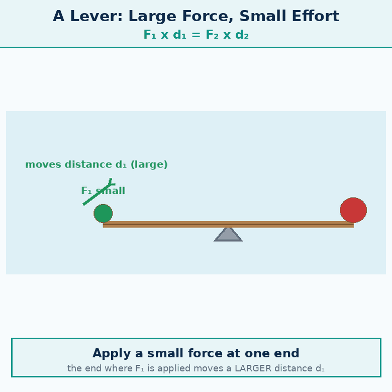 Animation for "How does a lever apply a large force with a small effort". A short looping GIF, three or four beats, drawn in the flat classroom style of the chapter. Beat 1 — By applying a small force at one end of the lever, a larger force can be applied on the object at the other end. How is this possible?. Beat 2 — The end where the smaller force (F₁) is applied moves a larger distance (d₁). Beat 3 — The other end which applies a larger force (F₂) to lift the heavier object moves a smaller distance (d₂). Label every arrow and quantity, name the direction each force or motion acts in, and hold the last frame for a moment before the loop starts again.