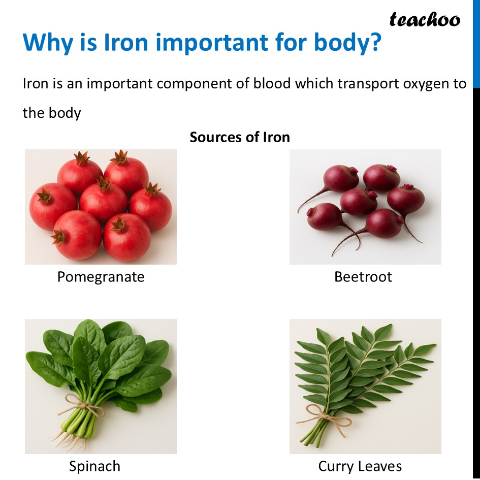 part 32 - Different Components of Food - Concepts - Chapter 3 Class 6 - Mindful Eating: A path to healthy body (Curiosity) - Class 6