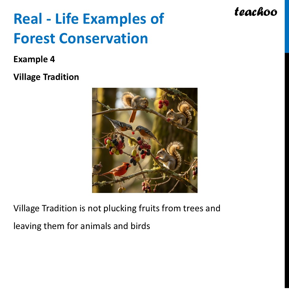 part 13 - Forests - Concepts - Chapter 11 Class 6 - Nature's Treasures (Curiosity) - Class 6