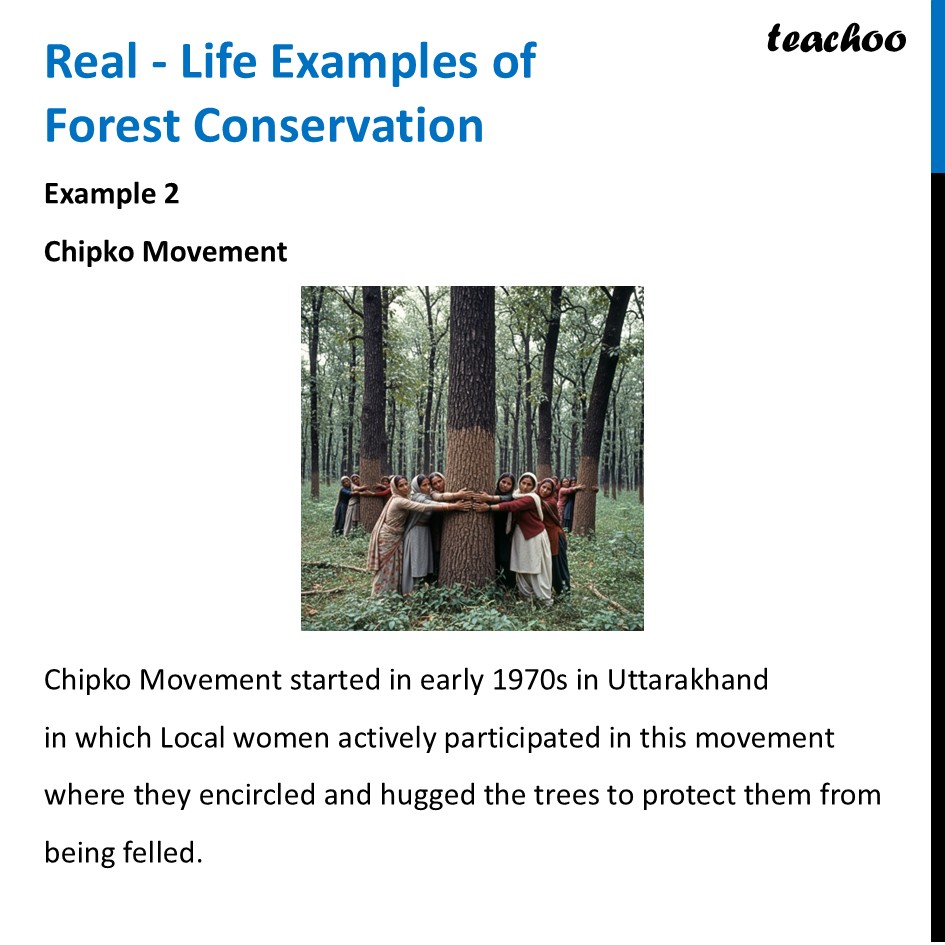 part 11 - Forests - Concepts - Chapter 11 Class 6 - Nature's Treasures (Curiosity) - Class 6