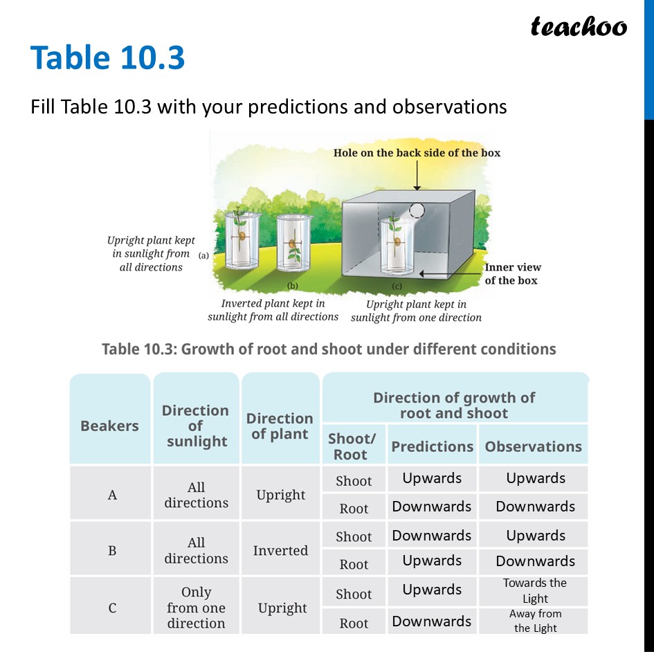 part 8 - Growth and Movement in Plants - Concepts - Chapter 10 Class 6 - Living Creatures: Exploring their Characterstics - Class 6
