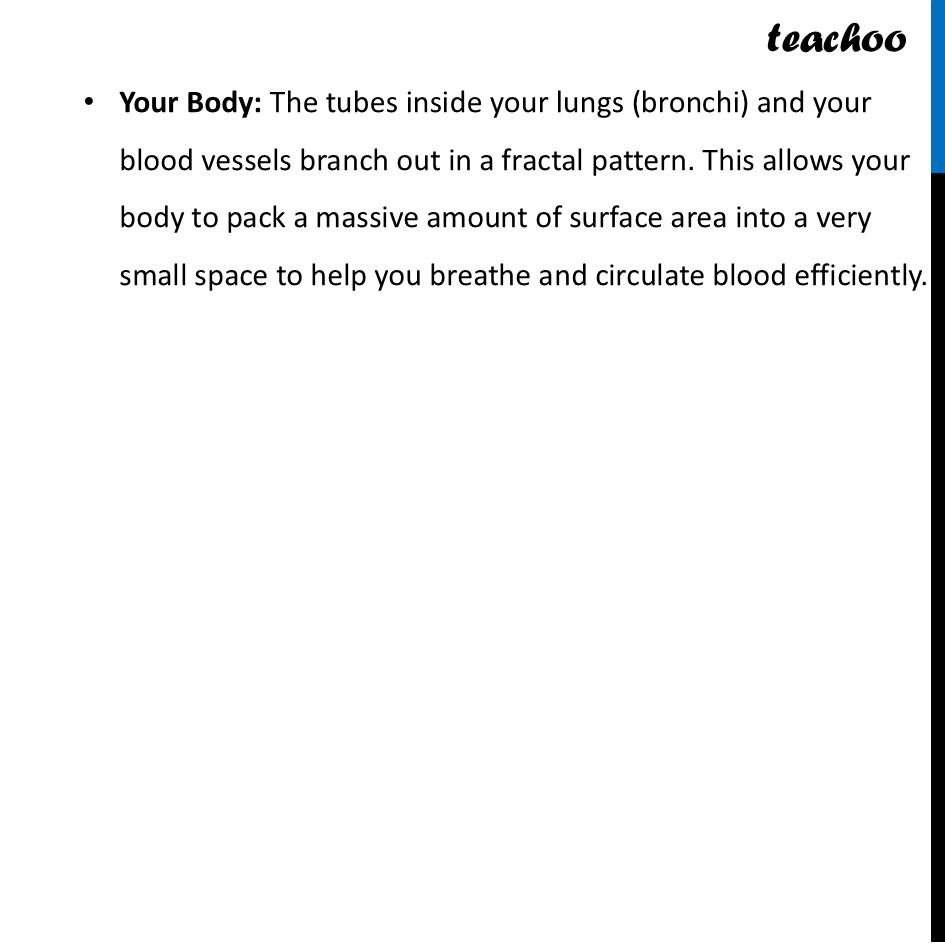 part 4 - Fractals - Fractals - Chapter 4 Class 8 - Exploring Some Geometric Themes (Ganita Prakash II - Class 8 (Ganita Prakash - 1, 2 & Old NCERT)