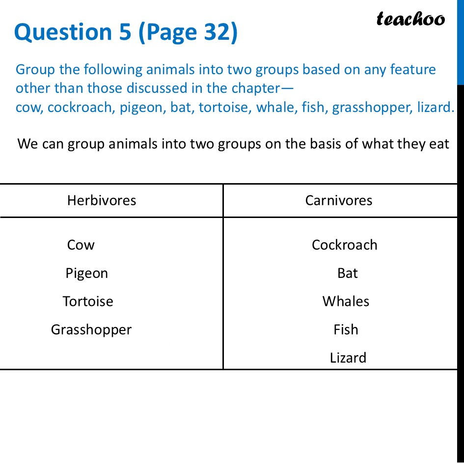 Group the following animals into two groups based on any feature - Questions at the end of chapter (Page 31, 32 & 33)