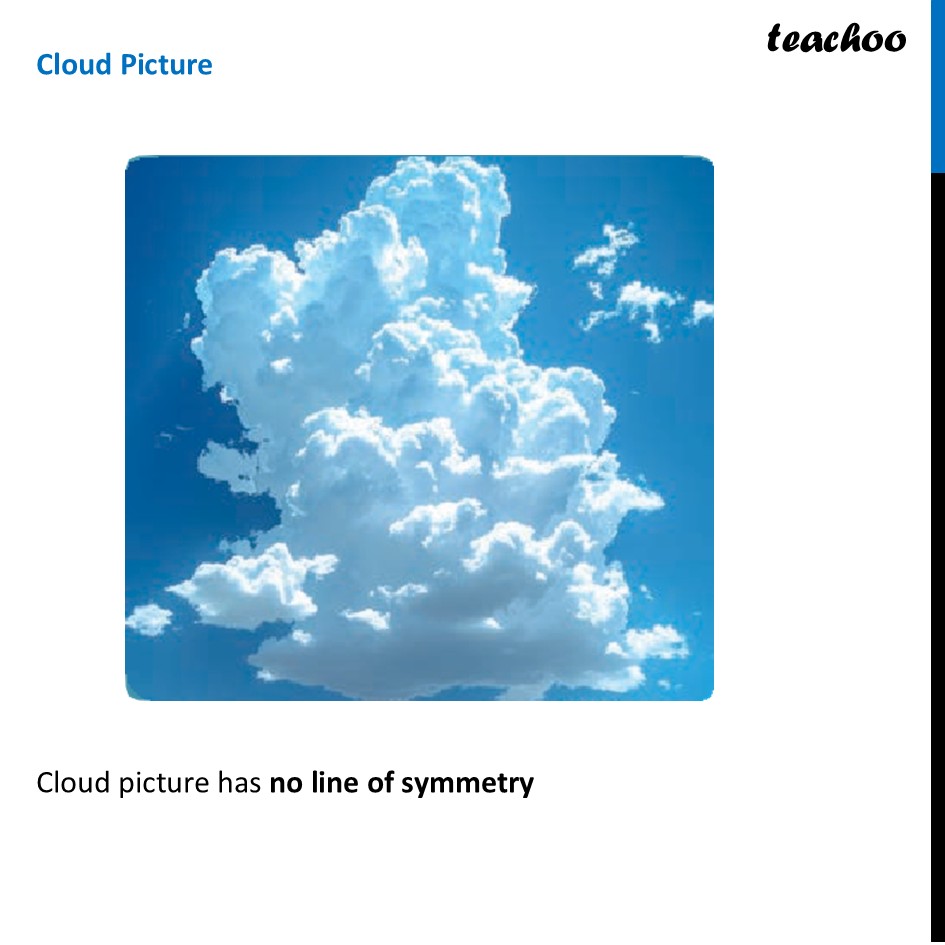 part 6 - Question 1 - Figure it out - Page 219 - Line of symmetry - Chapter 9 Class 6 - Symmetry (Ganita Prakash) - Class 6 (Ganita Prakash & Old NCERT)
