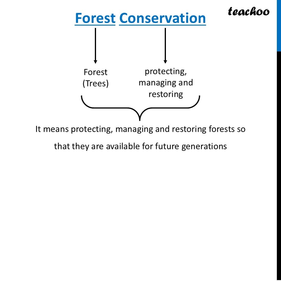 part 6 - Forests - Concepts - Chapter 11 Class 6 - Nature's Treasures (Curiosity) - Class 6