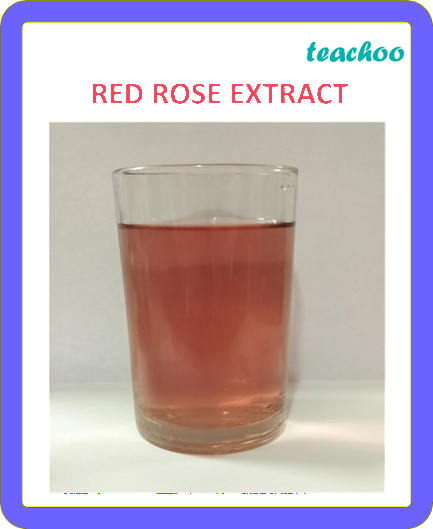2.1.2 Red Rose as an Indicator - Exploring Substances: - [Teachoo] - Concepts