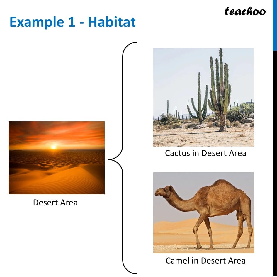 part 2 - Habitat - Concepts - Chapter 2 Class 6 - Diversity in the living world (Curiosity) - Class 6