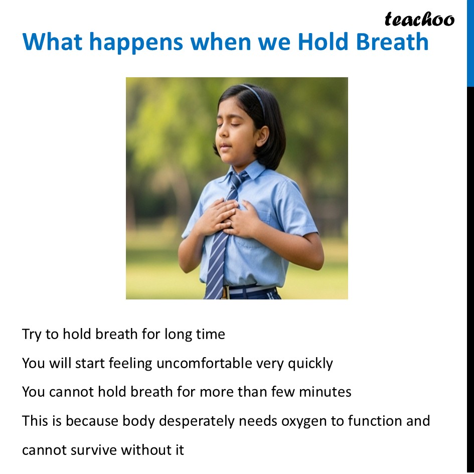 part 6 - Air - Concepts - Chapter 11 Class 6 - Nature's Treasures (Curiosity) - Class 6