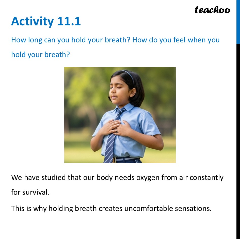 part 8 - Air - Concepts - Chapter 11 Class 6 - Nature's Treasures (Curiosity) - Class 6