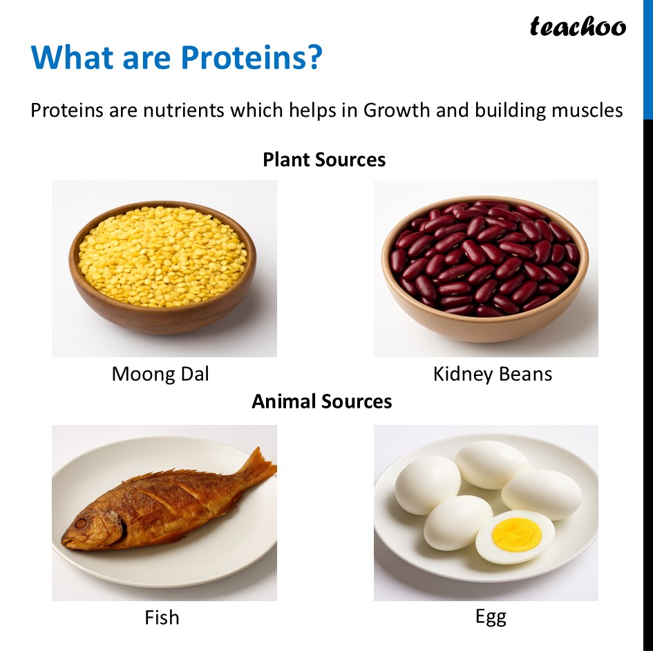 part 13 - Different Components of Food - Concepts - Chapter 3 Class 6 - Mindful Eating: A path to healthy body (Curiosity) - Class 6