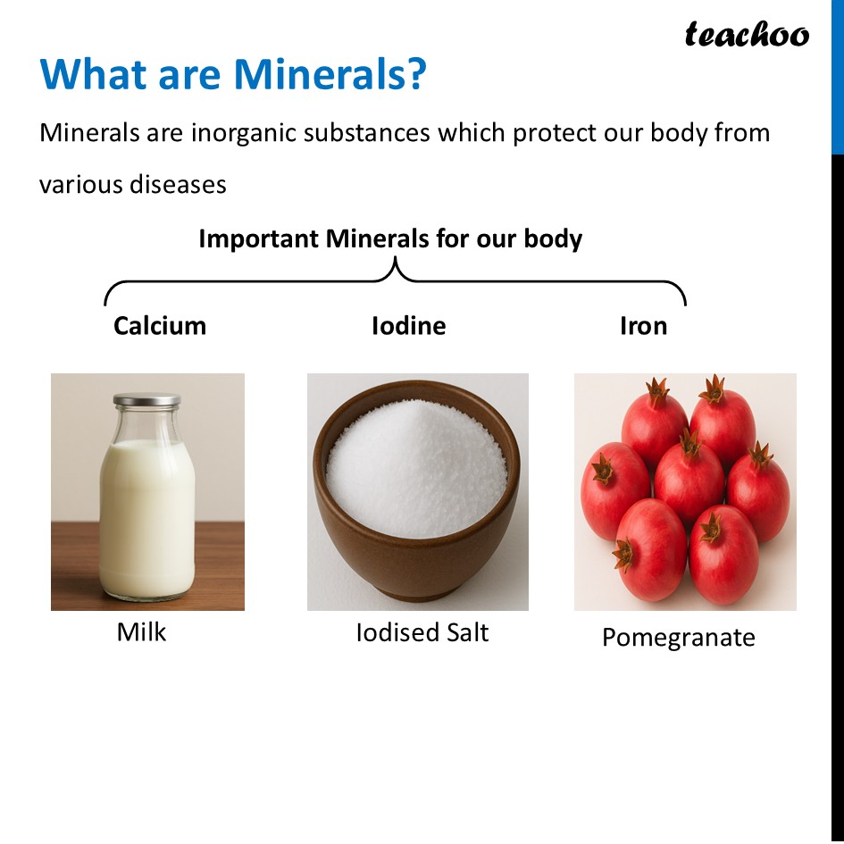 part 27 - Different Components of Food - Concepts - Chapter 3 Class 6 - Mindful Eating: A path to healthy body (Curiosity) - Class 6