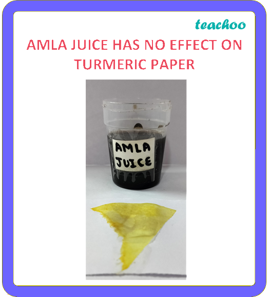 part 9 - 2.1.3 Turmeric as an Indicator - Concepts - Chapter 2 Class 7 - Exploring Substances: Acidic, Basic, and Neutral - Class 7