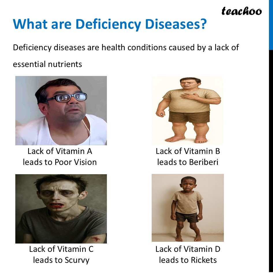 part 16 - Different Components of Food - Concepts - Chapter 3 Class 6 - Mindful Eating: A path to healthy body (Curiosity) - Class 6