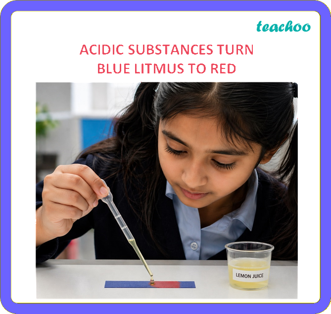 part 3 - 2.1.1 Litmus as an Indicator - Concepts - Chapter 2 Class 7 - Exploring Substances: Acidic, Basic, and Neutral - Class 7