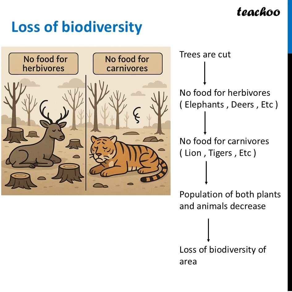 part 3 - Biodiversity - Concepts - Chapter 2 Class 6 - Diversity in the living world (Curiosity) - Class 6