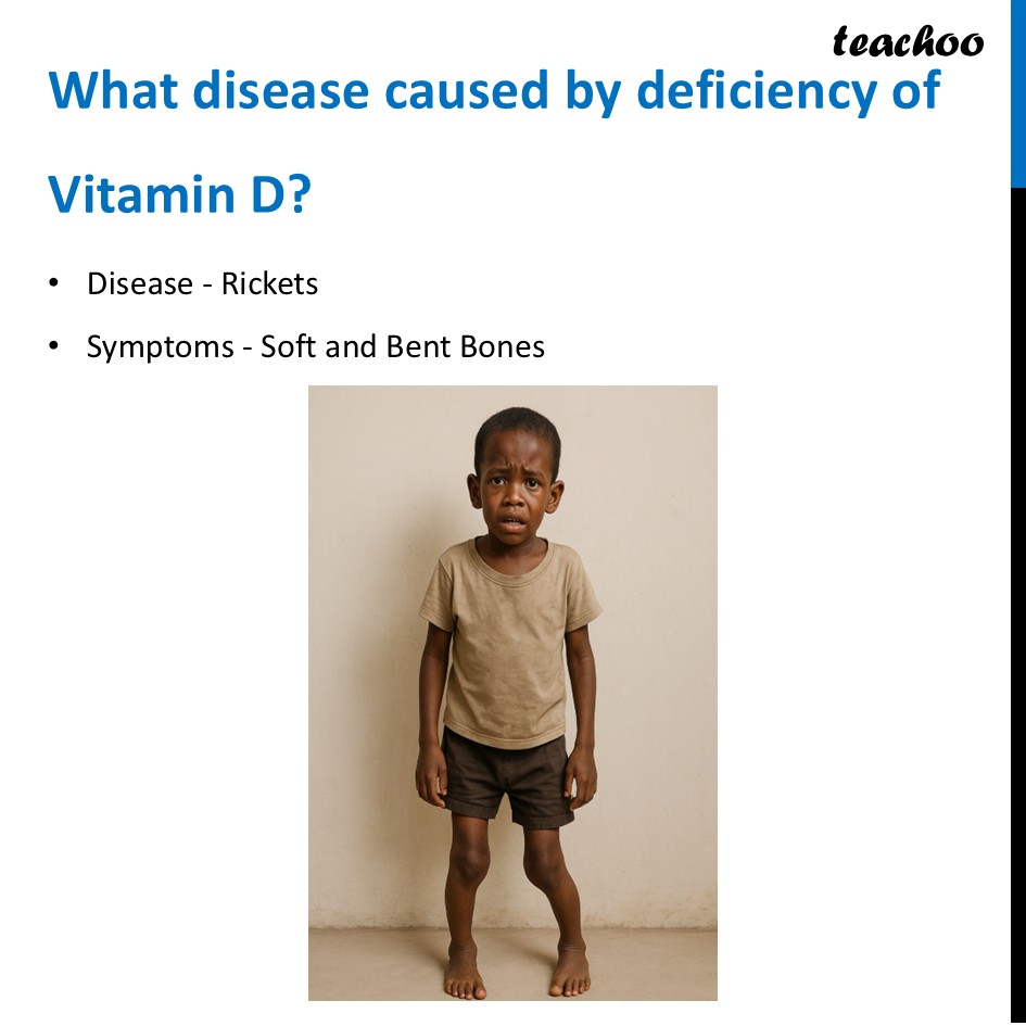 part 26 - Different Components of Food - Concepts - Chapter 3 Class 6 - Mindful Eating: A path to healthy body (Curiosity) - Class 6