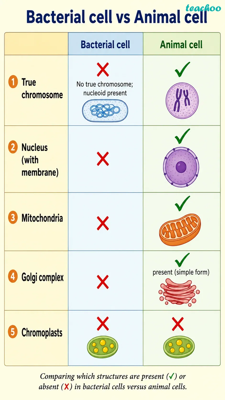 Question 9 — Indicate the presen - Cell — The Building Bl - [Teachoo] - Questions at the end of the chapter