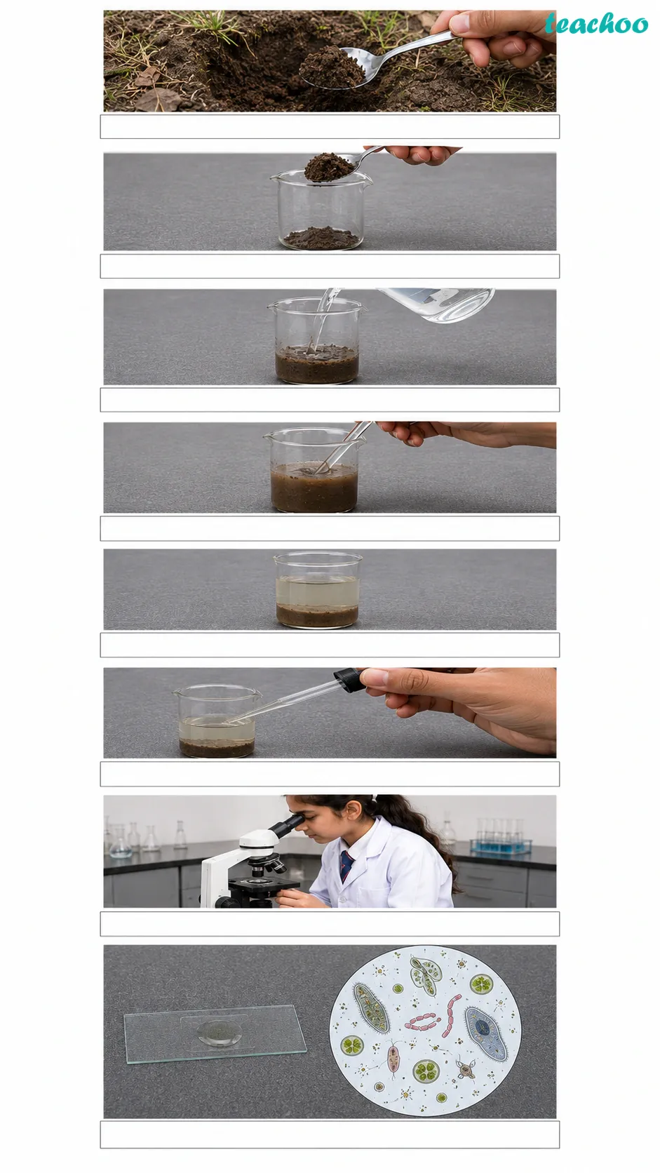 Image: A beaker of muddy soil suspension being stirred with a glass rod and left to settle, then a drop from the top layer placed on a microscope slide