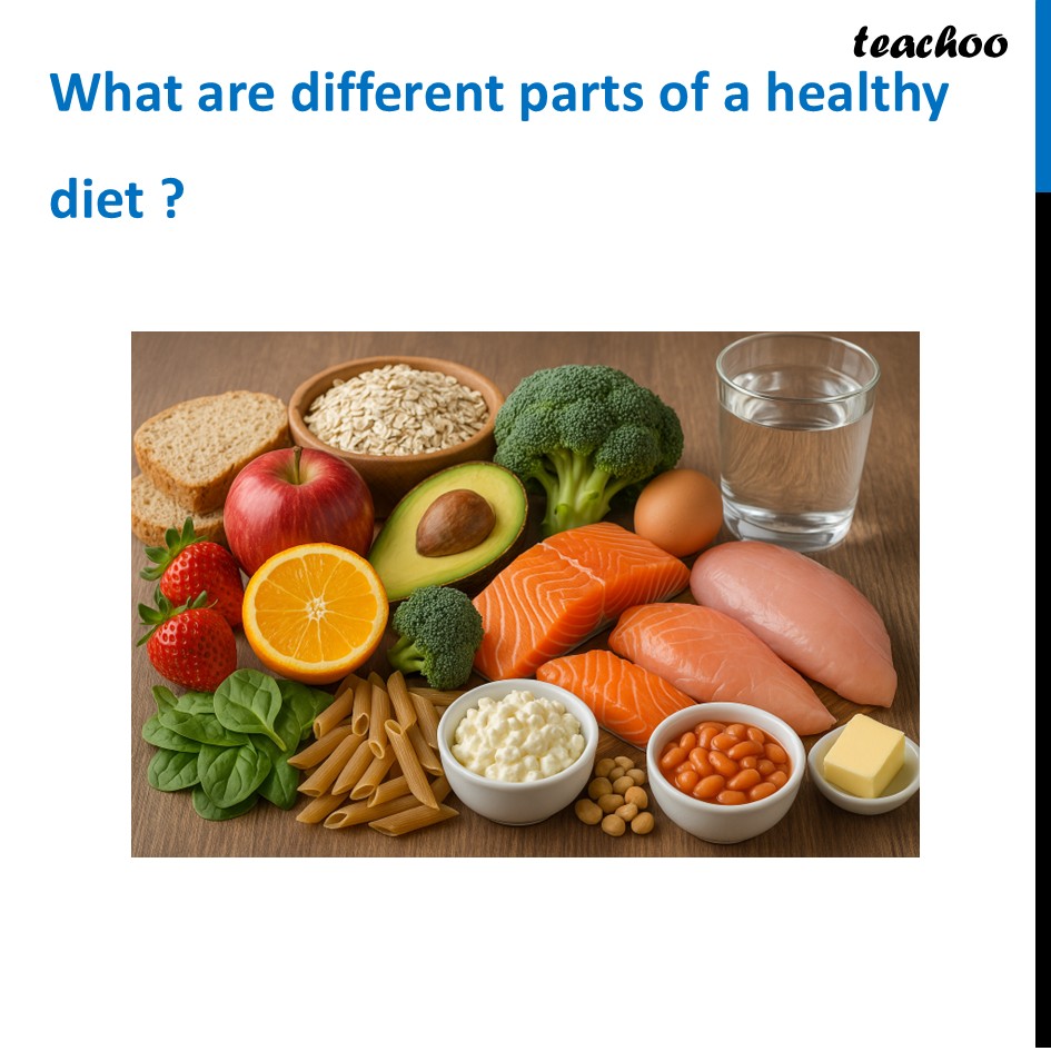 part 42 - Different Components of Food - Concepts - Chapter 3 Class 6 - Mindful Eating: A path to healthy body (Curiosity) - Class 6