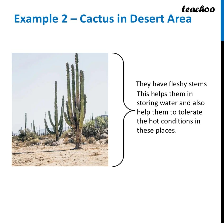 part 2 - Adaptations - Concepts - Chapter 2 Class 6 - Diversity in the living world (Curiosity) - Class 6