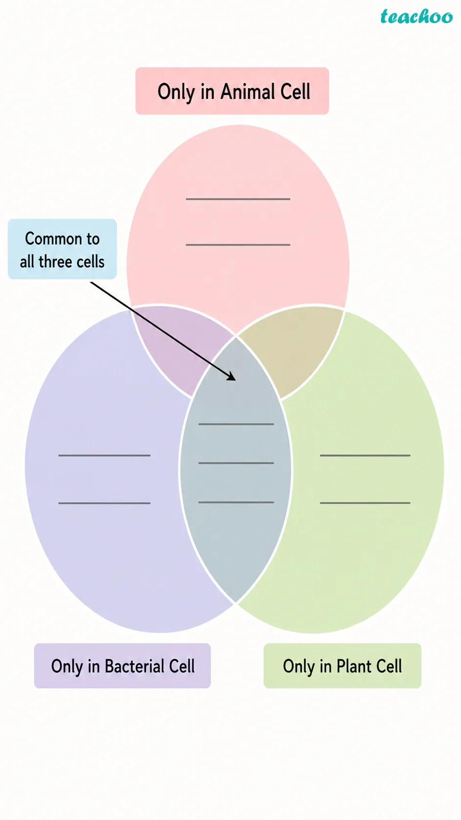 Image: A Venn diagram with three overlapping circles labelled Only in Animal Cell, Only in Plant Cell, and Only in Bacterial Cell, with a Common to all three cells region in the centre, ready to be filled with cell parts