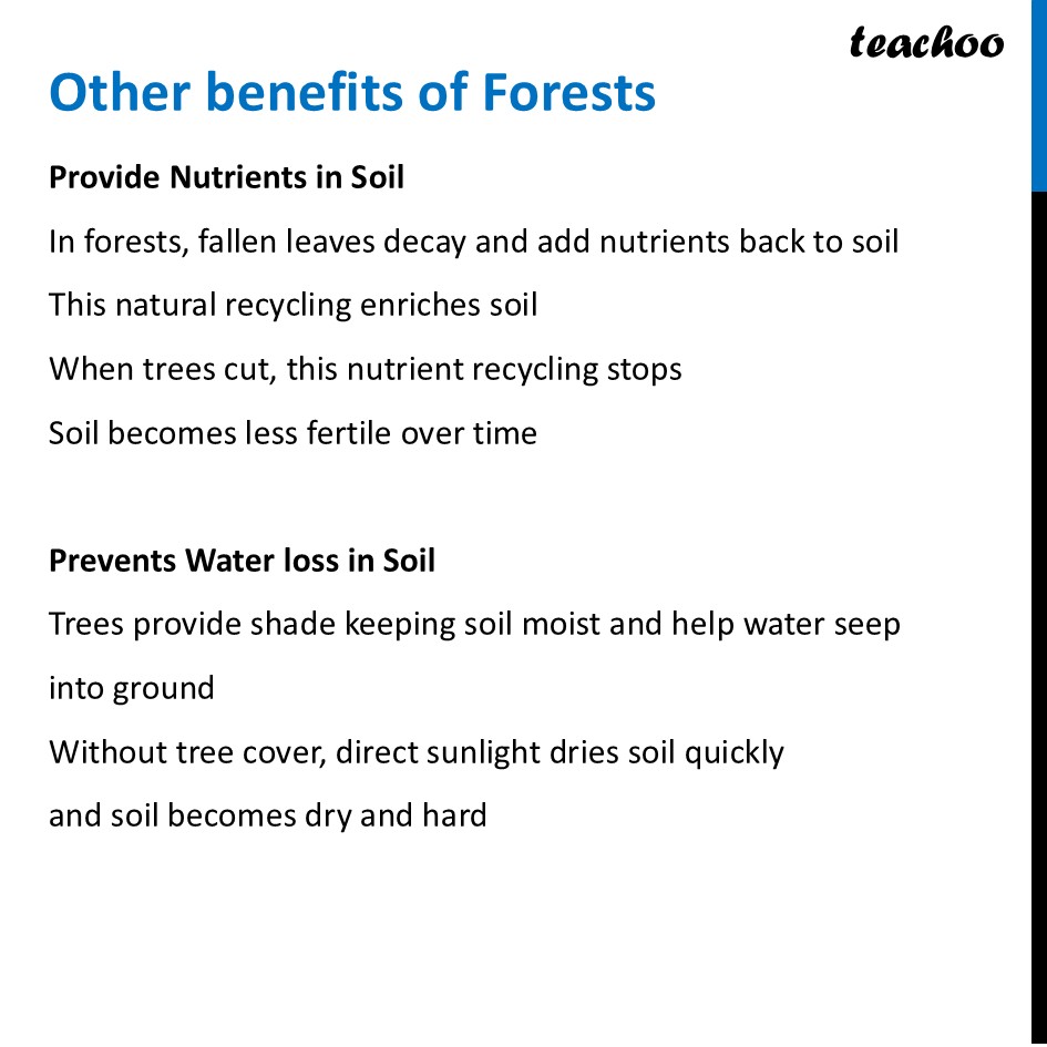 part 15 - Forests - Concepts - Chapter 11 Class 6 - Nature's Treasures (Curiosity) - Class 6