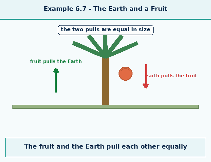 part 4 - 6.6 Newton's Third Law of Motion - Concepts - Chapter 6 - How Forces Affect Motion (Exploration) - Class 9 (Exploration)
