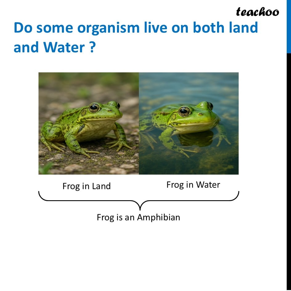 part 10 - Habitat - Concepts - Chapter 2 Class 6 - Diversity in the living world (Curiosity) - Class 6