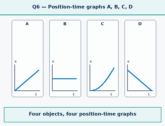 Question 6 — The position-time g - How Forces Affect Moti - [Teachoo] - Questions at the end of the chapter